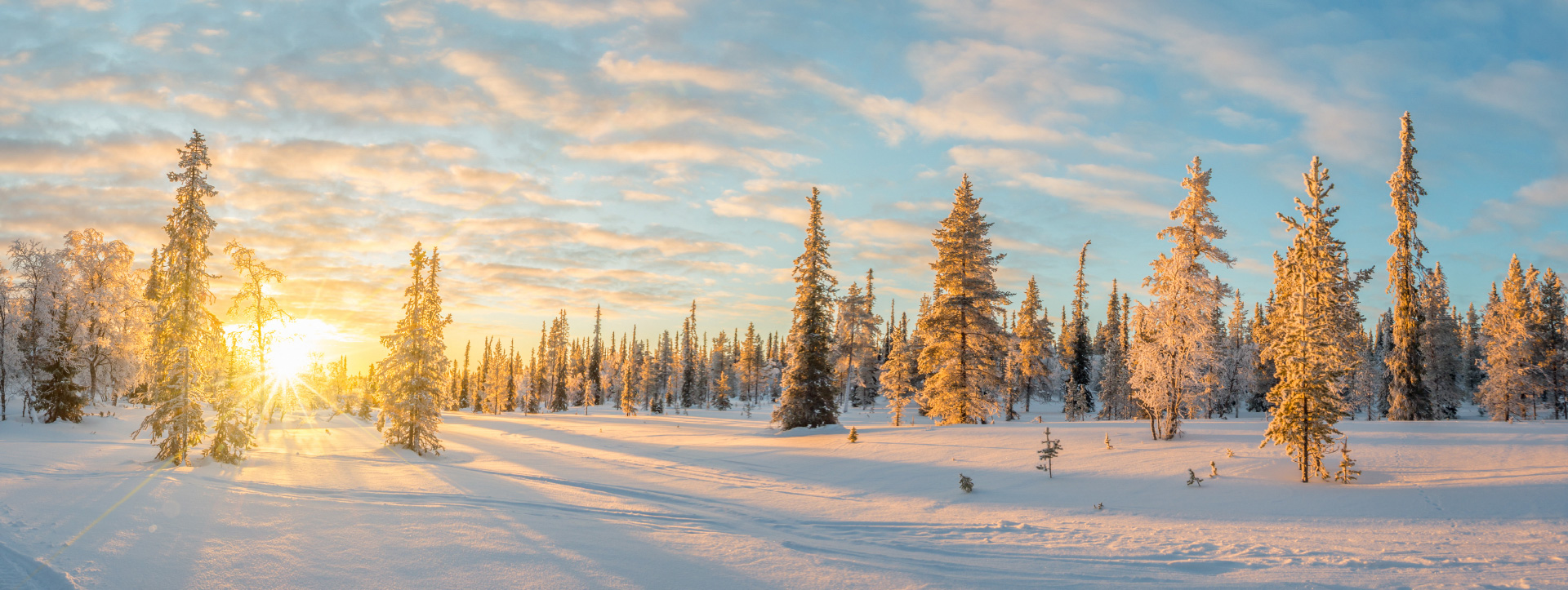 titelbild_winter